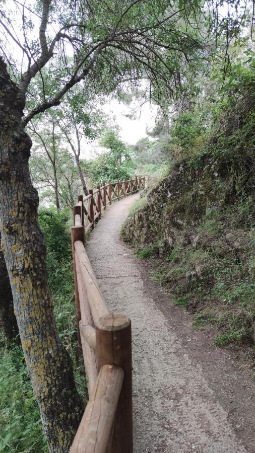 뷔타고데로조야 Puente Viejo De Buitrago Casa Encina 아파트 외부 사진